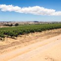 ZAF WC CW Paarl 2016NOV17 SpiceRoute 014 : 2016, 2016 - African Adventures, Africa, November, South Africa, Southern, Western Cape, Paarl, Cape Winelands, Spice Route