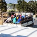 ZAF WC Paarl 2016NOV17 Windmuel 002 : 2016, 2016 - African Adventures, Africa, November, South Africa, Southern, Western Cape, Paarl, Cape Winelands, Windmeul