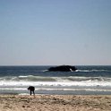 MEX NW BACA Rosarita 2005MAY19 033 : 2005, 2005 San Diego Golden Oldies, Alice Springs Dingoes Rugby Union Football Club, Americas, Date, Day Trip, Golden Oldies Rugby Union, May, Mexico, Month, North America, Places, Rosarito, Rugby Union, Sports, Teams, Year
