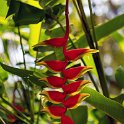 MEX CHP Palenque 2019APR06 ZonaArqueologica 007 : - DATE, - PLACES, - TRIPS, 10's, 2019, 2019 - Taco's & Toucan's, Americas, April, Chiapas, Day, Mexico, Month, North America, Palenque, Saturday, South Pacific Coast, Year, Zona Arqueológica Palenque