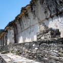 MEX CHP Palenque 2019APR06 ZonaArqueologica 044 : - DATE, - PLACES, - TRIPS, 10's, 2019, 2019 - Taco's & Toucan's, Americas, April, Chiapas, Day, Mexico, Month, North America, Palenque, Saturday, South Pacific Coast, Year, Zona Arqueológica Palenque