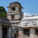 MEX CHP Palenque 2019APR06 ZonaArqueologica 048 : - DATE, - PLACES, - TRIPS, 10's, 2019, 2019 - Taco's & Toucan's, Americas, April, Chiapas, Day, Mexico, Month, North America, Palenque, Saturday, South Pacific Coast, Year, Zona Arqueológica Palenque