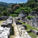 MEX CHP Palenque 2019APR06 ZonaArqueologica 062 : - DATE, - PLACES, - TRIPS, 10's, 2019, 2019 - Taco's & Toucan's, Americas, April, Chiapas, Day, Mexico, Month, North America, Palenque, Saturday, South Pacific Coast, Year, Zona Arqueológica Palenque