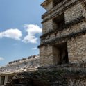MEX CHP Palenque 2019APR06 ZonaArqueologica 087 : - DATE, - PLACES, - TRIPS, 10's, 2019, 2019 - Taco's & Toucan's, Americas, April, Chiapas, Day, Mexico, Month, North America, Palenque, Saturday, South Pacific Coast, Year, Zona Arqueológica Palenque