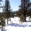 USA CA BlueLakes 2004JAN31 029 : 2004, 2004 - Tahoe Superbowl Trip, Americas, Blue Lakes, California, January, Lake Tahoe, Month, North America, USA