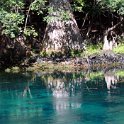 USA FL ManateeSprings 2006SEPT29 StatePark 002 : 2006, 2006 - Where The Farq Is Fitzy, Americas, Date, Florida, Manatee Springs, Month, North America, October, Places, State Park, Trips, USA, Year