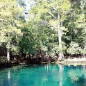 USA FL ManateeSprings 2006SEPT29 StatePark 003 : 2006, 2006 - Where The Farq Is Fitzy, Americas, Date, Florida, Manatee Springs, Month, North America, October, Places, State Park, Trips, USA, Year