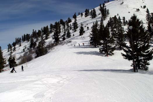 2004FEB29 USA ID BogusBasin 006