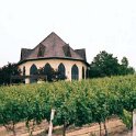 2000JUN11 USA ID Caldwell SteChapelleWinery SunnySlopeBluesFestival 001 : 2000, Americas, Caldwell, Date, Idaho, June, Month, North America, Places, Ste Chapelle Winery, Sunny Slope Blues Festival, USA, Year