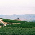 2000JUN11 USA ID Caldwell SteChapelleWinery SunnySlopeBluesFestival 004 : 2000, Americas, Caldwell, Date, Idaho, June, Month, North America, Places, Ste Chapelle Winery, Sunny Slope Blues Festival, USA, Year