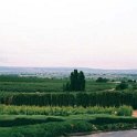 2000JUN11 USA ID Caldwell SteChapelleWinery SunnySlopeBluesFestival 005 : 2000, Americas, Caldwell, Date, Idaho, June, Month, North America, Places, Ste Chapelle Winery, Sunny Slope Blues Festival, USA, Year
