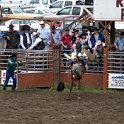 2005MAY07 USA ID Riggins Rodeo 011 : 2005, Americas, Date, Idaho, May, Month, North America, Places, Riggins, Rodeo, USA, Year