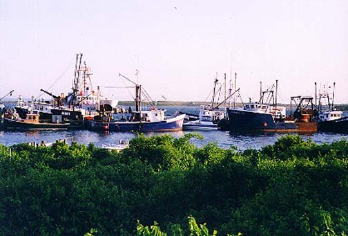 1999MAY26 USA MA MarthasVineyard 001