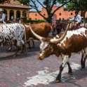 USA TX FortWorth 2019MAY22 012 : - DATE, - PLACES, - TRIPS, 10's, 2019, 2019 - Taco's & Toucan's, Americas, DFW, Day, Fort Worth, May, Month, North America, Stockyards, Texas, USA, Wednesday, Year