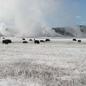 USA WY YellowstoneNP 2004NOV01 LowerGeyserBasin 007 : 2004, 2004 - Yellowstone Travels, Americas, Lower Geyser Basin, National Park, North America, November, USA, Wyoming, Yellowstone