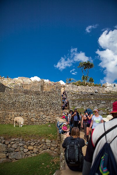 PER CUZ MachuPicchu 2014SEPT15 131