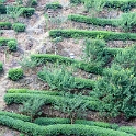 AS CHN SW SIC LES Sanguzhuang 2017AUG17 005 : 2017, 2017 - EurAisa, Asia, August, China, DAY, Eastern Asia, Leshan, Sanguzhuang, Sichuan, Southwest, Tea Plantation, Thursday