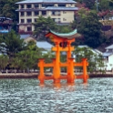 JPN HIR Miyajima 2012NOV05 032 : 2012, 2012 - Pho, Footy & Sushi Tour, 2012 Fukuoka Golden Oldies, Alice Springs Dingoes Rugby Union Football Club, Asia, Date, Golden Oldies Rugby Union, Hiroshima Prefecture, Itsukushima Island, Japan, Miyajima, Month, November, Places, Region Chugoku, Rugby Union, Sports, Teams, Trips, Year
