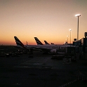 UAE DUB Dubai 2016NOV12 Airport 001  14 1/2 hours after departing Brisbane   Emirates Airlines   had us in   Terminal 3   just in time for sunrise. : 2016, 2016 - African Adventures, Airport, Asia, November, United Arab Emirates, Dubai, Western