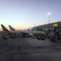UAE DUB Dubai 2016NOV12 Airport 003 : 2016, 2016 - African Adventures, Airport, Asia, November, United Arab Emirates, Dubai, Western