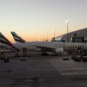 UAE DUB Dubai 2016NOV12 Airport 004 : 2016, 2016 - African Adventures, Airport, Asia, November, United Arab Emirates, Dubai, Western