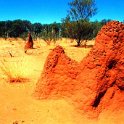 AUS NT BarklyHighway 2001 TermiteHills 001 : 2001, 2001 The "Gruesome Twosome" Australian Tour, Australia, Barkly Highway, Date, NT, Places, Trips, Year