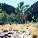 AUS_NT_ElleryCreekBigHole_2001JUL11_002.jpg