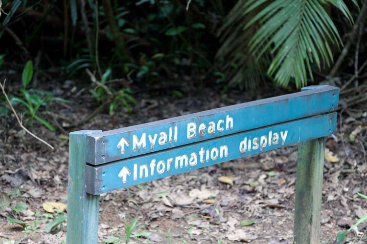 AUS QLD CapeTribulation 2010OCT18 001