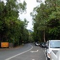 AUS QLD DaintreeForest 2010OCT18 001  Driving down through the  Daintree Rainforest , to  Port Douglas  is a great little drive. : 2010, 2010 - No Doot Aboot It Eh! Tour, 2010 Sydney Golden Oldies, Alice Springs Dingoes Rugby Union Football Club, Australia, Daintree Rainforest, Date, Golden Oldies Rugby Union, Month, October, Places, QLD, Rugby Union, Sports, Teams, Trips, Year
