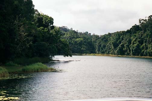 AUS QLD LakeBarrine 2001JUL17 004