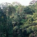 AUS QLD LakeBarrine 2001JUL17 011 : 2001, 2001 The "Gruesome Twosome" Australian Tour, Australia, Date, July, Lake Barrine, Month, Places, QLD, Trips, Year