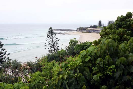 AUS QLD SnapperRocks 2010SEPT20 005