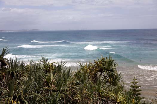 AUS QLD SnapperRocks 2011JAN15 005