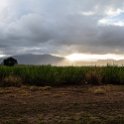 AUS QLD Walkerston 2013MAR20 004 : 2013, 2013 - Going Coastal Road Trip, Australia, Date, March, Month, Places, QLD, Trips, Walkerston, Year