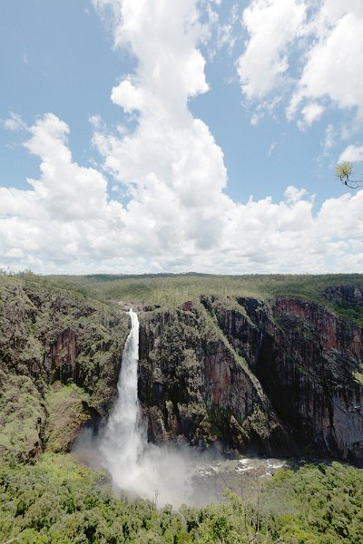 AUS QLD WallamanFalls 2012FEB10 025