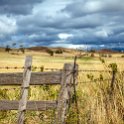 AUS TAS Hamilton 2015JAN25 017 : 2015, 2015 - Tasmanian Travels, Australia, Date, Hamilton, January, Month, Places, TAS, Trips, Year