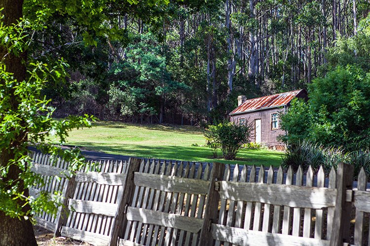 AUS TAS PortArthur 2015JAN24 134