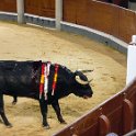 EU ESP MAD Madrid 2017JUL29 LasVentas 060 : 2017, 2017 - EurAisa, Community of Madrid, DAY, Europe, July, Madrid, Plaza de Toros de Las Ventas, Saturday, Southern Europe, Spain