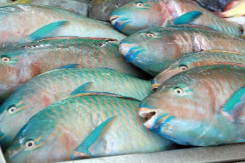 PYF Tahiti Papeete 2007FEB10 009