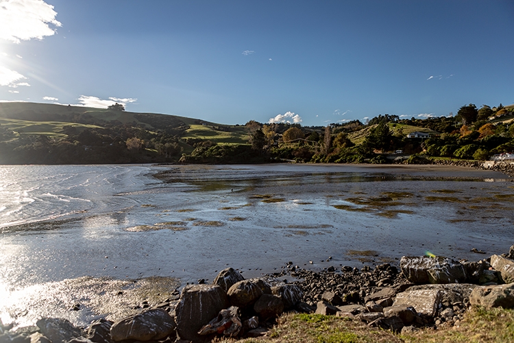 NZL CAN Akaroa 2018APR24 009
