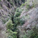 NZL MWT Ohotu 2011SEPT24 GorgeRoad 003 : 2011, 2011 - Rugby World Cup, Date, Gorge Road, Manawatu-Wanganui, Month, New Zealand, Oceania, Ohotu, Places, September, Trips, Year