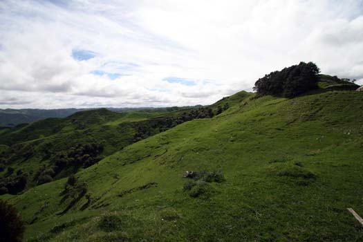 NZL MWT Taihape 2006OCT27 016