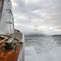 NZL NTL BayOfIslands 2018APR16 002  We left the wharf on our ½ day   Spot X   snapper fishing charter just as the sun was rising, in cloudy overcast skies and slow drizzling rain, but within 10 minutes of setting sail we were in brilliant sunshine and the dawning of a brilliant day. : - DATE, - PLACES, - TRIPS, 10's, 2018, 2018 - Kiwi Kruisin, April, Bay Of Islands, Day, Monday, Month, New Zealand, Northland, Oceania, Year