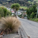 NZL OTA Dunedin 2018MAY07 BaldwinSt 010 : - DATE, - PLACES, - TRIPS, 10's, 2018, 2018 - Kiwi Kruisin, Baldwin Street, Day, Dunedin, May, Monday, Month, New Zealand, Oceania, Otago, Year