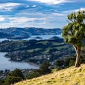 NZL OTA Dunedin 2018MAY07 Pukehiki 005 : - DATE, - PLACES, - TRIPS, 10's, 2018, 2018 - Kiwi Kruisin, Day, Dunedin, May, Monday, Month, New Zealand, Oceania, Otago, Pukehiki, Year