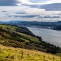 NZL OTA Dunedin 2018MAY07 Pukehiki 006 : - DATE, - PLACES, - TRIPS, 10's, 2018, 2018 - Kiwi Kruisin, Day, Dunedin, May, Monday, Month, New Zealand, Oceania, Otago, Pukehiki, Year