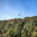 NZL STL MilfordSound 2018MAY03 053 : - DATE, - PLACES, - TRIPS, 10's, 2018, 2018 - Kiwi Kruisin, Day, May, Milford Sound, Month, New Zealand, Oceania, Southland, Thursday, Year