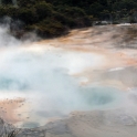 NZL WKO OrakeiKorako 2011SEPT19 052 : 2011, 2011 - Rugby World Cup, Date, Month, New Zealand, Oceania, Orakei Korako, Places, September, Trips, Waikato, Year