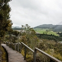 NZL WKO OrakeiKorako 2011SEPT19 060 : 2011, 2011 - Rugby World Cup, Date, Month, New Zealand, Oceania, Orakei Korako, Places, September, Trips, Waikato, Year