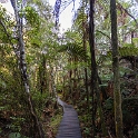 NZL WKO OrakeiKorako 2018APR19 042 : - DATE, - PLACES, - TRIPS, 10's, 2018, 2018 - Kiwi Kruisin, April, Day, Month, New Zealand, Oceania, Orakei Korako, Thursday, Waikato, Year
